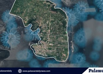 Local transmission, naitala sa 5 barangay sa lungsod ng Puerto Princesa