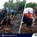 Puerto Princesa City ENRO spearheads mangrove rehabilitation, plants 3,000 seedlings in Bucana, Brgy. Iwahig