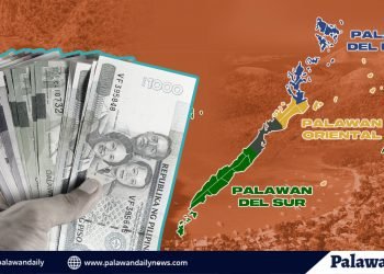 Tinatayang P150M budget sa plebisito, hindi sakop ang budget para sa PNP