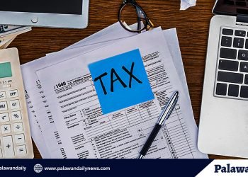 Due to pandemic, Palawan plans to extend deadline of Q1 real property taxes