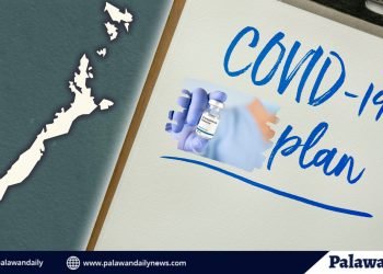 Palawan, mayroon na umanong COVID-19 vaccination plan