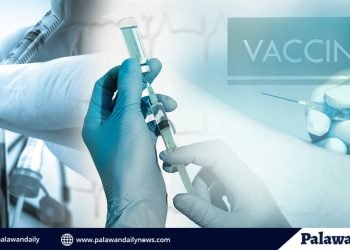 Ano ang proseso ng pagbabakuna ng COVID-19 sa Puerto Princesa?