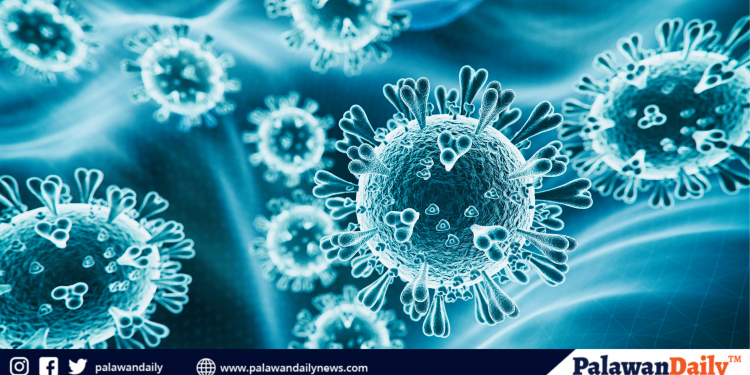 Pagtaas ng kaso ng COVID-19 sa MIMAROPA, ikinababahala ng DOH