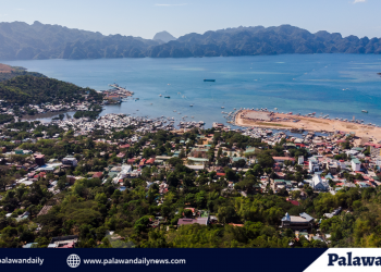 Mga turista sa Coron na nagpositbo sa COVID-19, nakabalik na ng Maynila