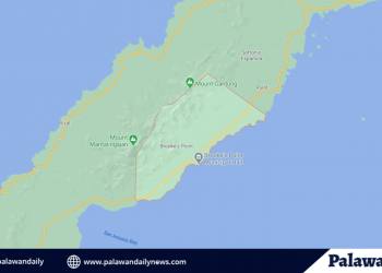 Brooke’s Point, maghihintay ng libreng COVID-19 vaccines