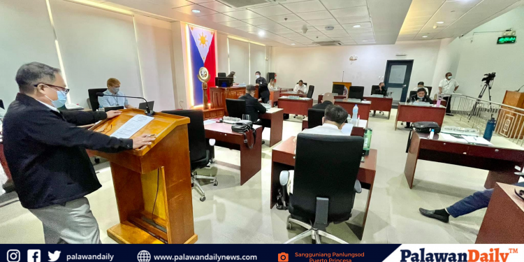 Puerto Princesa City Council, nais taasan ang insentibo ng mga community health workers