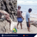 Dugong, natagpuang patay sa Bayan ng Taytay, Palawan