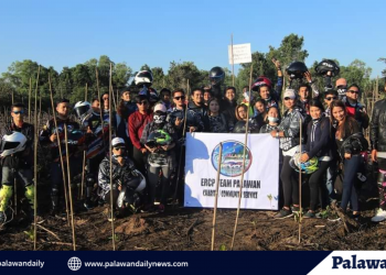 Mangrove rehabilitation continue in Sitio Bucana, Barangay Iwahig