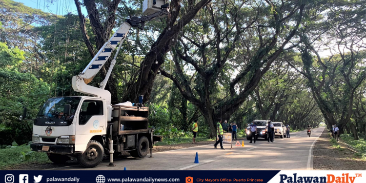 Puerto Princesa City Government, maghihigpit sa pagpapailaw sa Acacia Tunnel