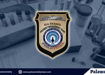 Puerto Princesa Incident Management Team, nakatanggap ng pekeng RT-PCR test result