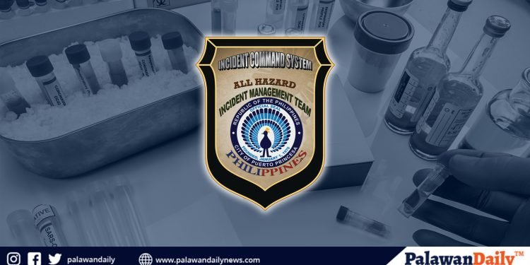 Puerto Princesa Incident Management Team, nakatanggap ng pekeng RT-PCR test result
