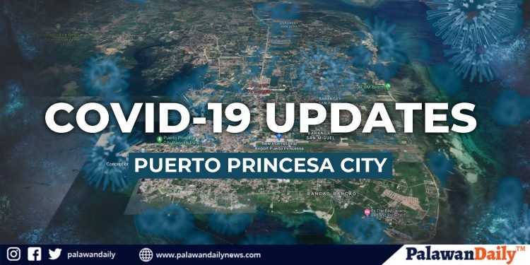 2 positibo sa COVID-19 sa Puerto Princesa City, hindi pa kinumpirma ng DOH-IMT