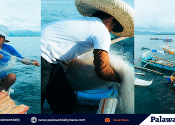 ELAC: mga maliliit na mga mangingisda, dehado kung maisabatas ang House Bill 7853