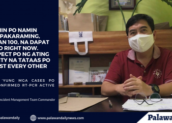 Pagtaas ng kumpirmadong kaso ng COVID-19 sa Puerto Princesa City, inaasahan ng Incident Management Team