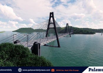 Kopya ng Work Suspension Order para sa Coron-Culion Inter-island Bridges, inilabas na