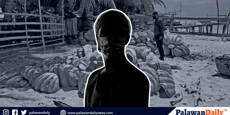 Grupo ng isang doktor sa Palawan na involved sa pangungulekta ng taklobo, wala umanong legal authority