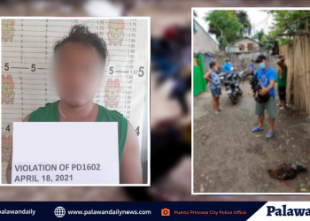 Isa arestado, habang tatlo naman ang nakatakas sa iligal na tupada sa Brgy. Sicsican