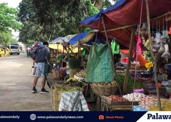Pamunuan ng pamilihang bayan sa Lungsod ng Puerto Princesa, iminungkahi ang karagdagang personnel na magbabantay