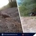 NGO Rep sa PMRB, mas nais i-rehab ang Caramay River kaysa buksan sa quarry application