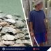P1.2-B halaga ng taklobo shells, nakumpiska sa Green Island, Roxas
