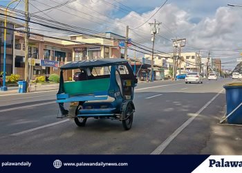 City Legal, COVID Sheriff, hiniling na makipag-ugnayan sa Konseho bago manita sa mga public tricycle