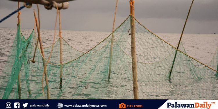 City ENRO probes baklads’ potential impacts to the environment