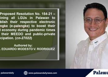 Mga LGU sa Palawan, inatasang magtatag ng mga Electronic Palengke ngayong panahon ng pandemya