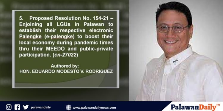 Mga LGU sa Palawan, inatasang magtatag ng mga Electronic Palengke ngayong panahon ng pandemya