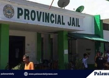 Mga empleyado ng Palawan Provincial Jail na nag-positibo sa COVID-19, balik trabaho na sa Lunes