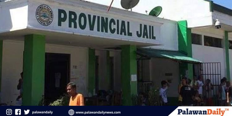 Mga empleyado ng Palawan Provincial Jail na nag-positibo sa COVID-19, balik trabaho na sa Lunes