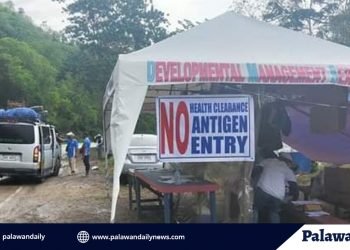 LGU-Roxas, naglabas ng bago at karagdagang mga alituntunin para sa mga inbound travelers