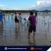 5,000 mangrove propagules, itinanim sa Quezon kaugnay ng Pista ng Kalikasan