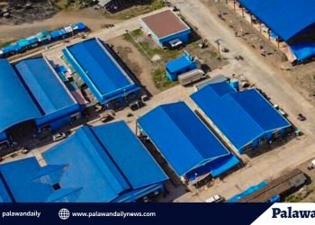 RTNMC in Palawan’s highest taxpayer’s list