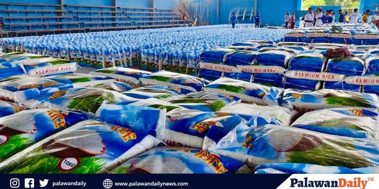 RTNMC supports LGUs  in Palawan in the fight against COVID-19