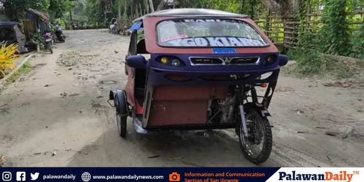 Alkalde ng San Vicente, hiniling sa Sangguniang Bayan ang muling pag-isyu ng mga prangkisa sa mga pampasadang tricycle
