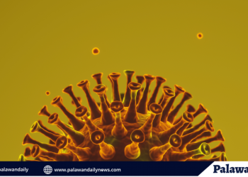 Puerto Princesa City IMT confirms two additional South African variants in the city, causing the spike of cases for the past four months