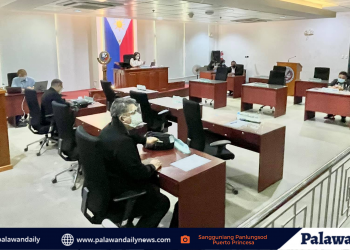 City Council urges local IATF to consider the request of restaurant owners in Puerto Princesa