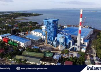 DMCI, nilinaw na hindi pa nagsisimula ang konstruksyon ng 15MW Coal Fired Plant sa Narra