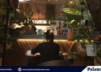 5 Must-Try New Cafes in Puerto Princesa