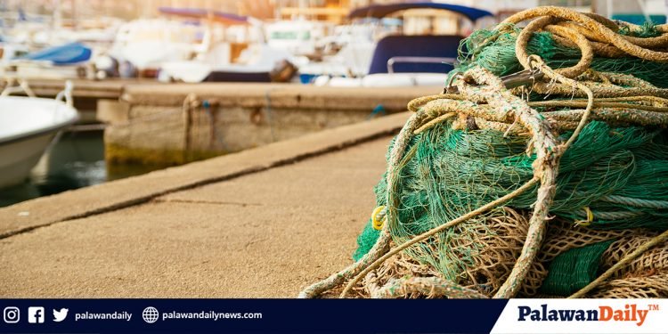 Palawan gears toward improved fisheries management