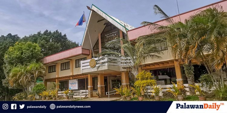 LGU-San Vicente to launch Safety Seal Certification for business establishments