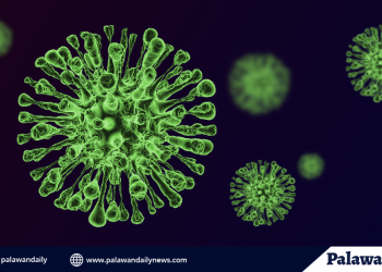 South Africa detects new COVID-19 variant