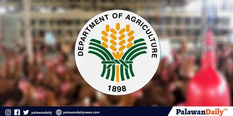 DA to give stocks of poultry animals to farmers