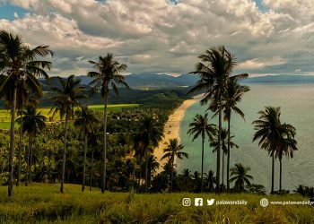 Megaworld Corp to spend ₱40 billion for eco-tourism township in Palawan