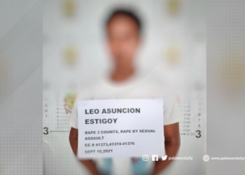 Rank no.5 most wanted sa rehiyon na may kasong 3 counts of rape, arestado sa bayan ng Narra