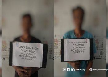 2 lalaki huli sa aktong paggamit ng chainsaw