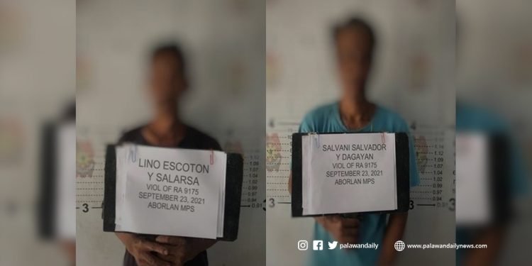 2 lalaki huli sa aktong paggamit ng chainsaw
