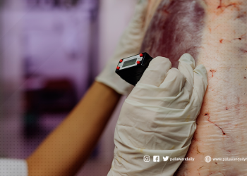 Establishment of slaughterhouse with international standards, approved by the Sangguniang Panlalawigan