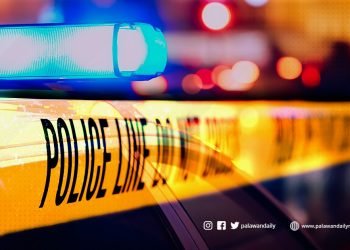 Drug pusher huli sa Brgy San Pedro