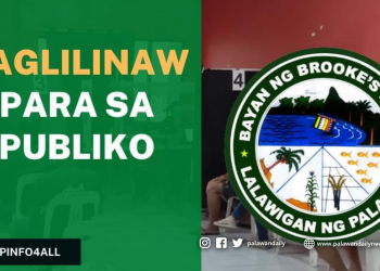 Brooke’s Point LGU: 10k for PhilSys registrants not true